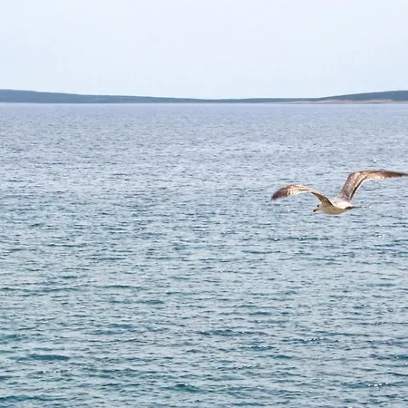 Appartement Mandre 4101c *