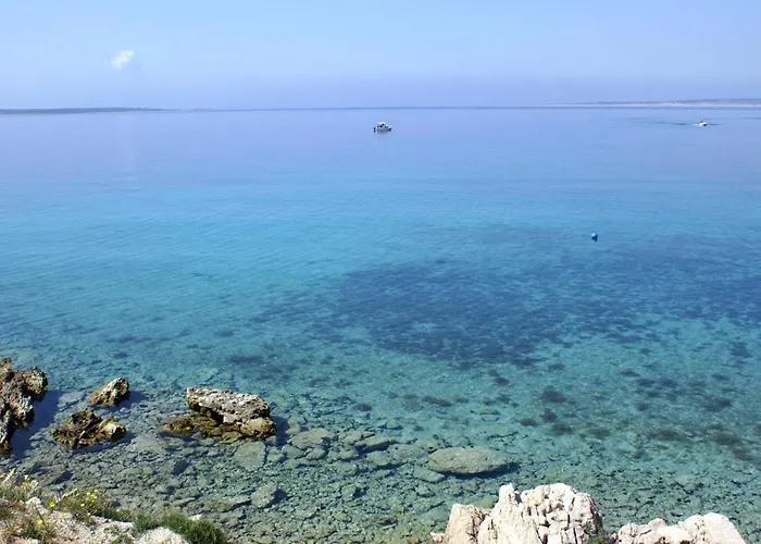 דירה Mandre 4101c