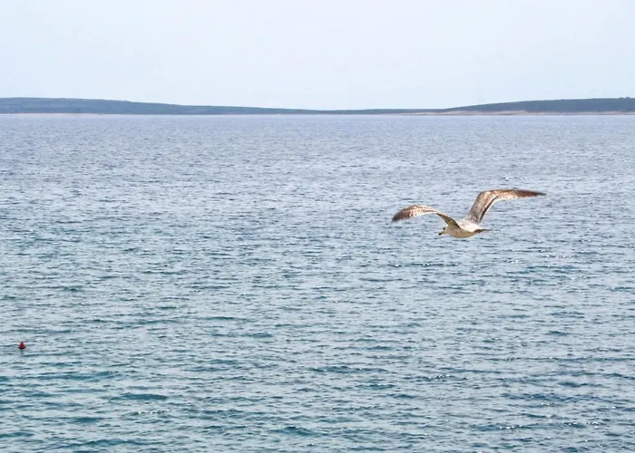 شقة Mandre 4101c *